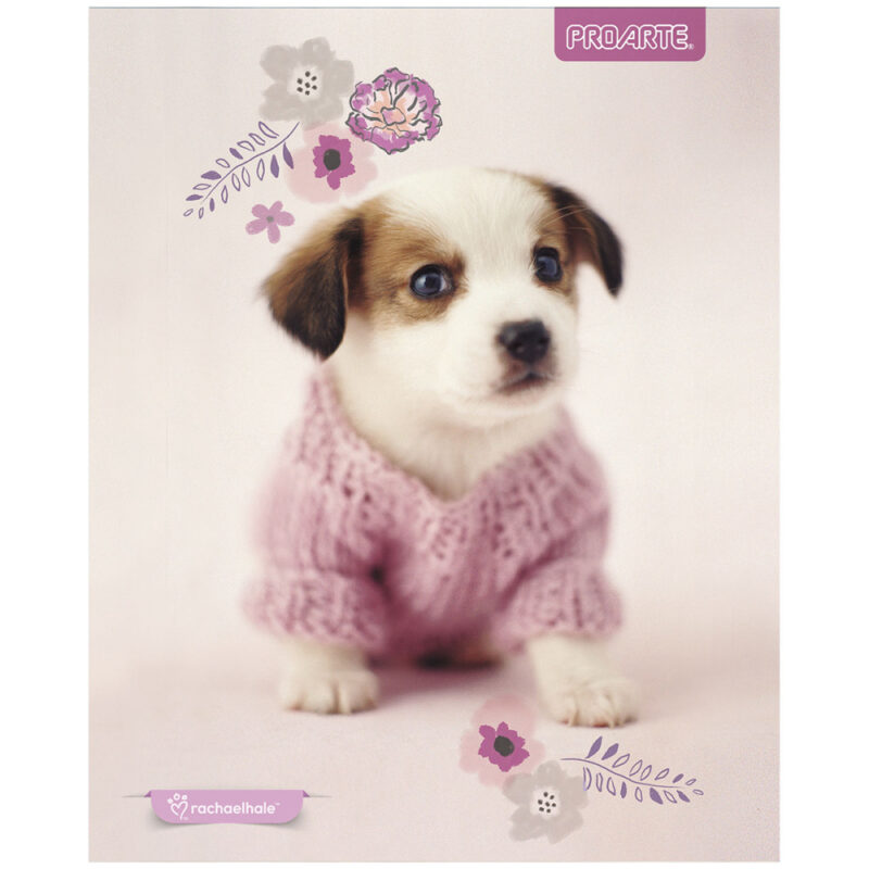 Cuaderno Proarte universal rachaelhale 100 hj 7mm x10ud