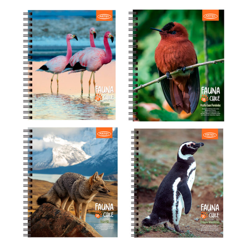 Cuaderno Universitario Animales de Chile 100hojas 7MM