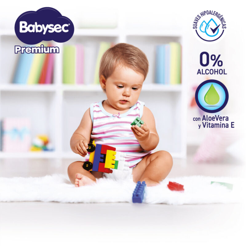 Toallas humedas Babysec premium 45ud